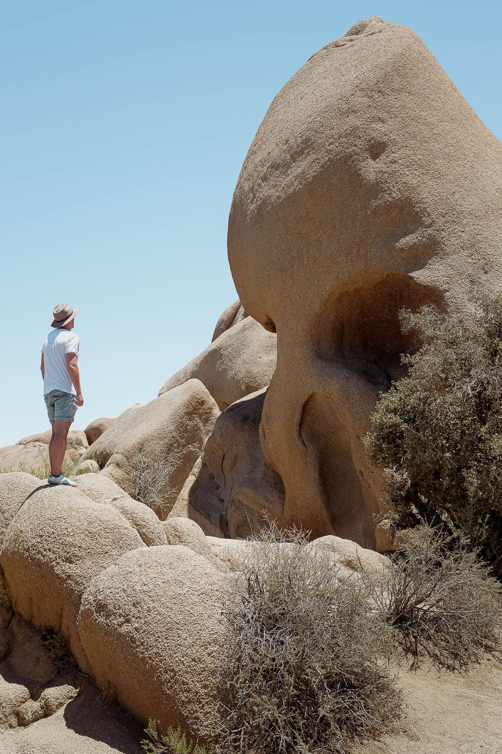 Joshua Tree National Park - California 2 week road trip manual - Faraway Getaway