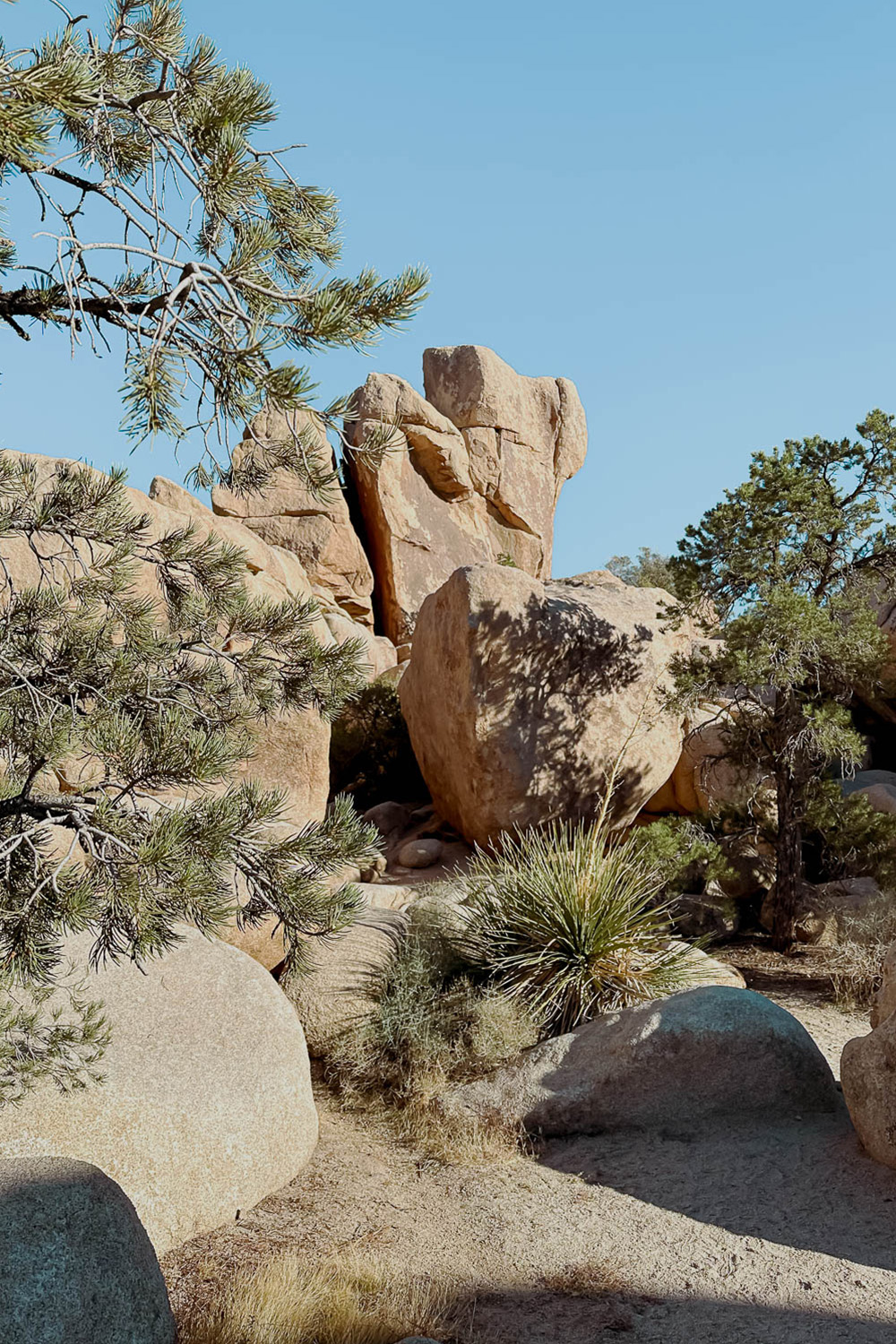 Joshua Tree National Park - California 2 week road trip manual - Faraway Getaway