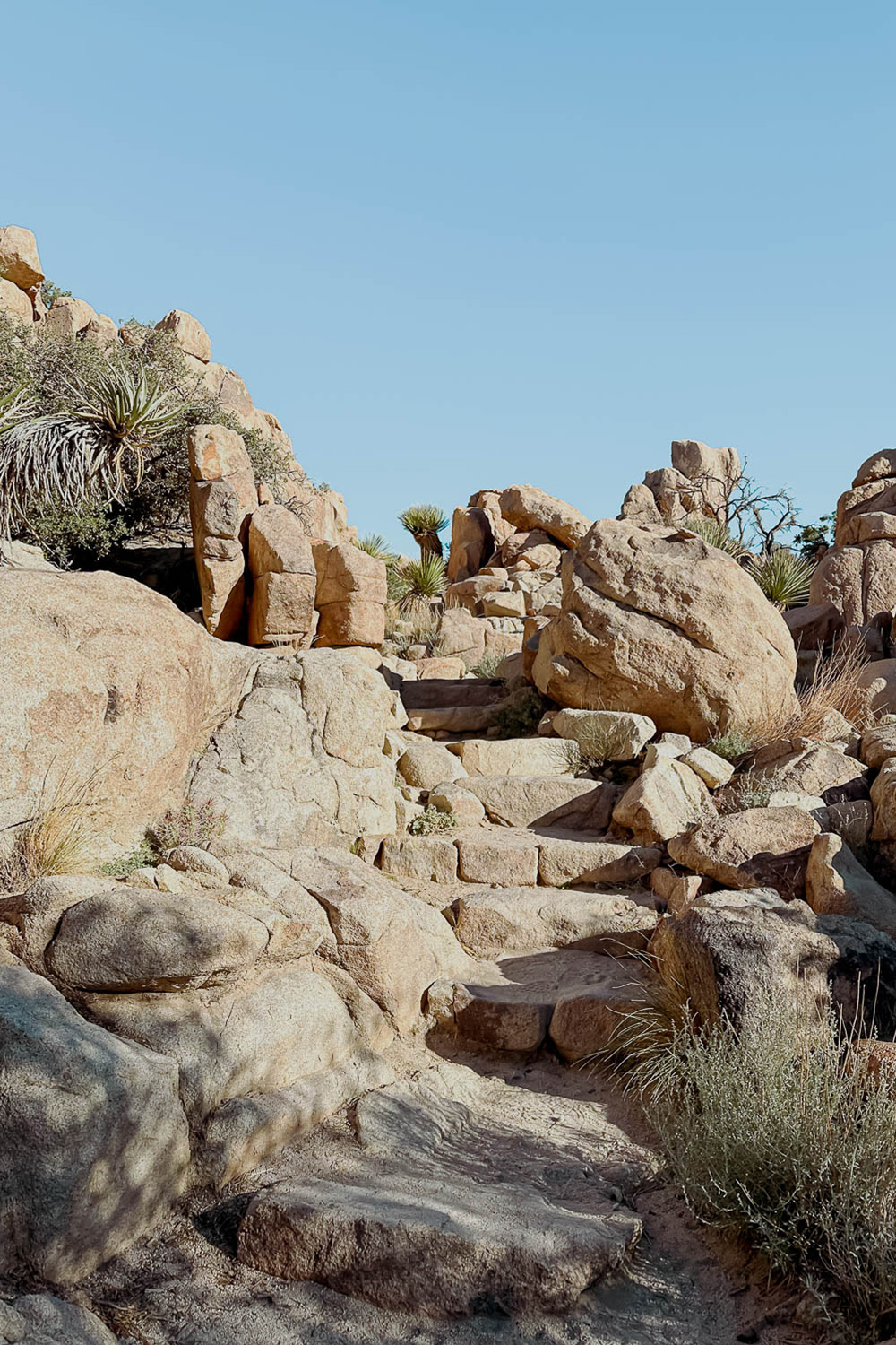 Joshua Tree National Park - California 2 week road trip manual - Faraway Getaway