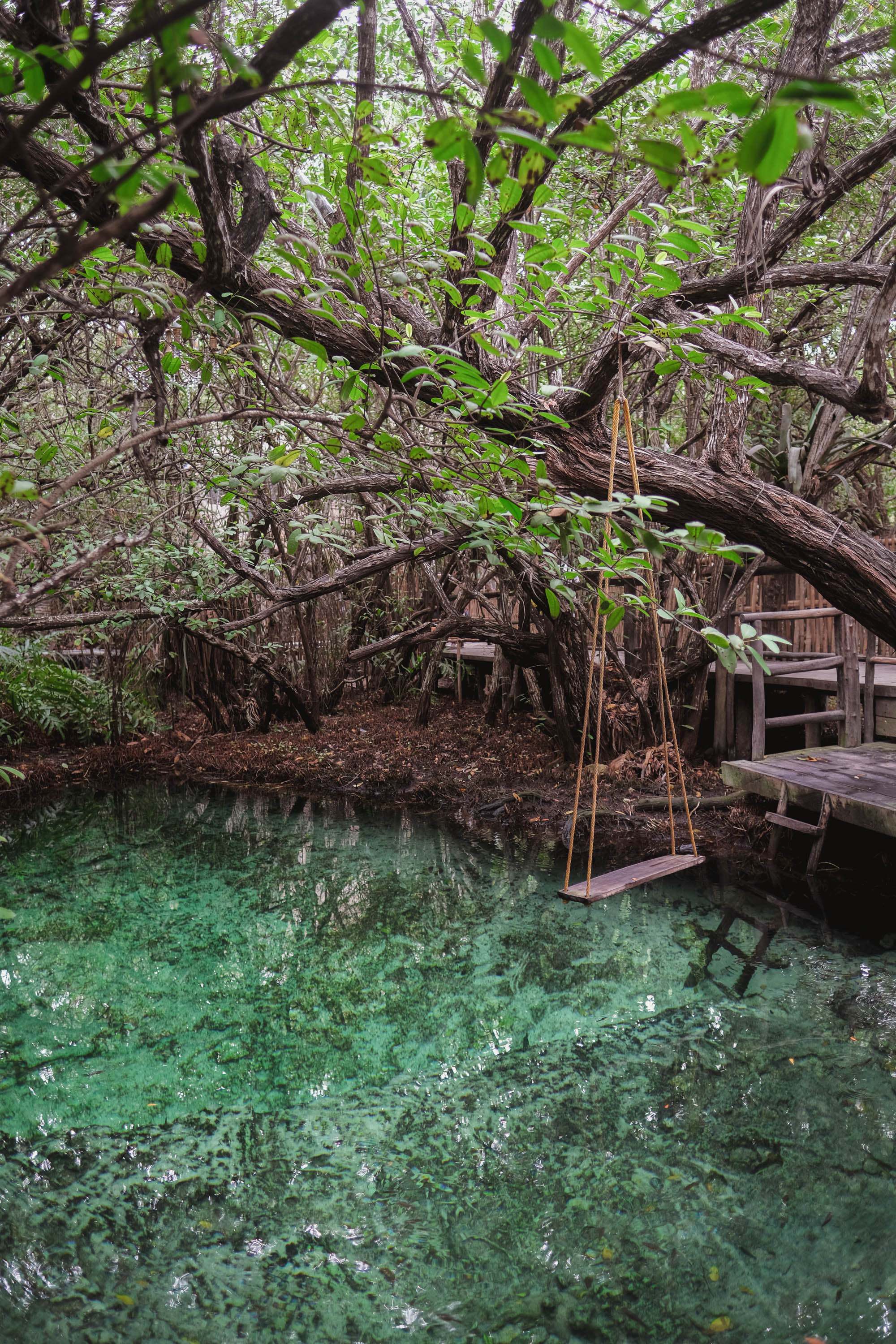 Cenote Tulum - Faraway Getaway