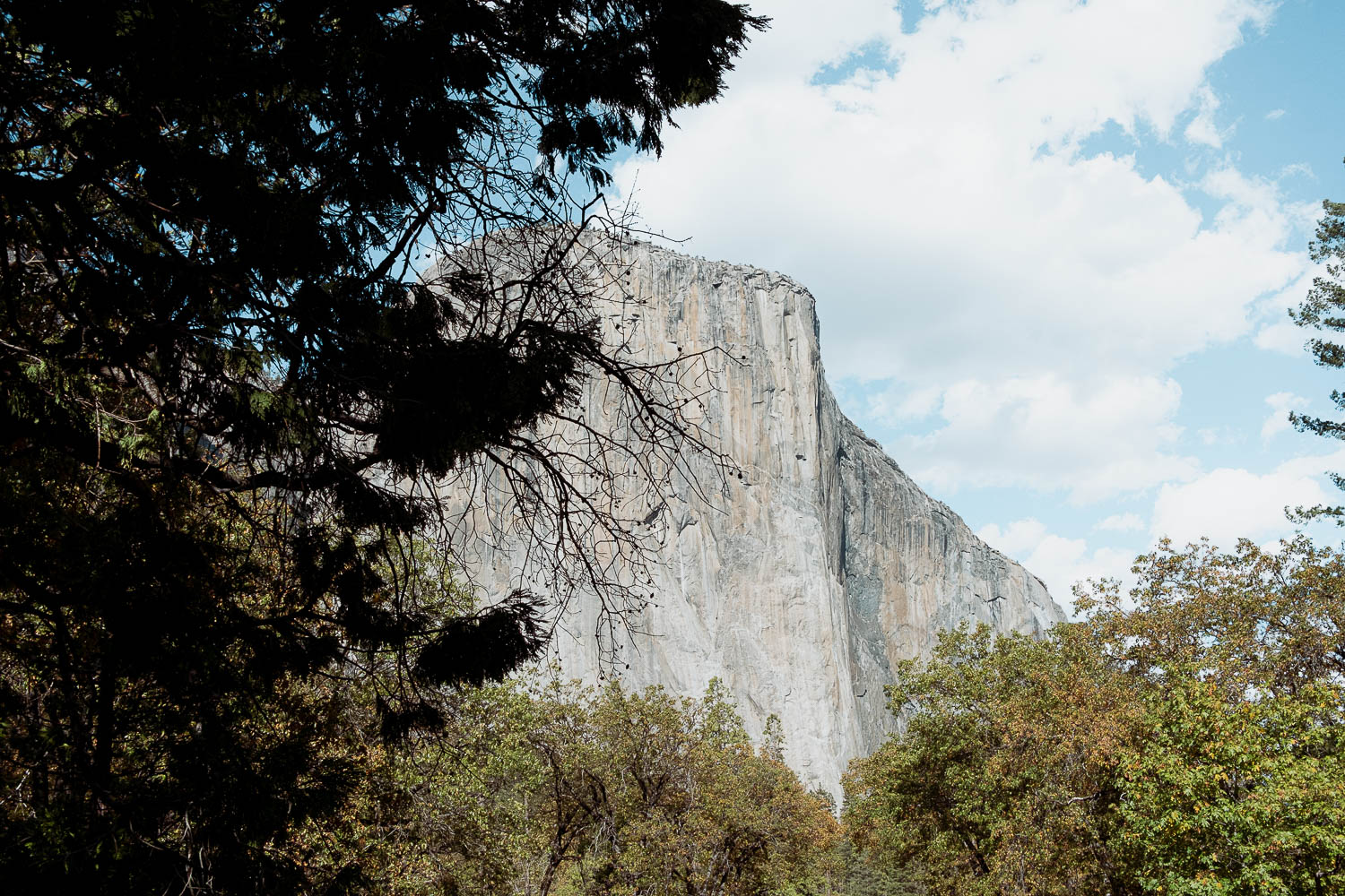 Yosemite National Park - California 2 week road trip manual - Faraway Getaway