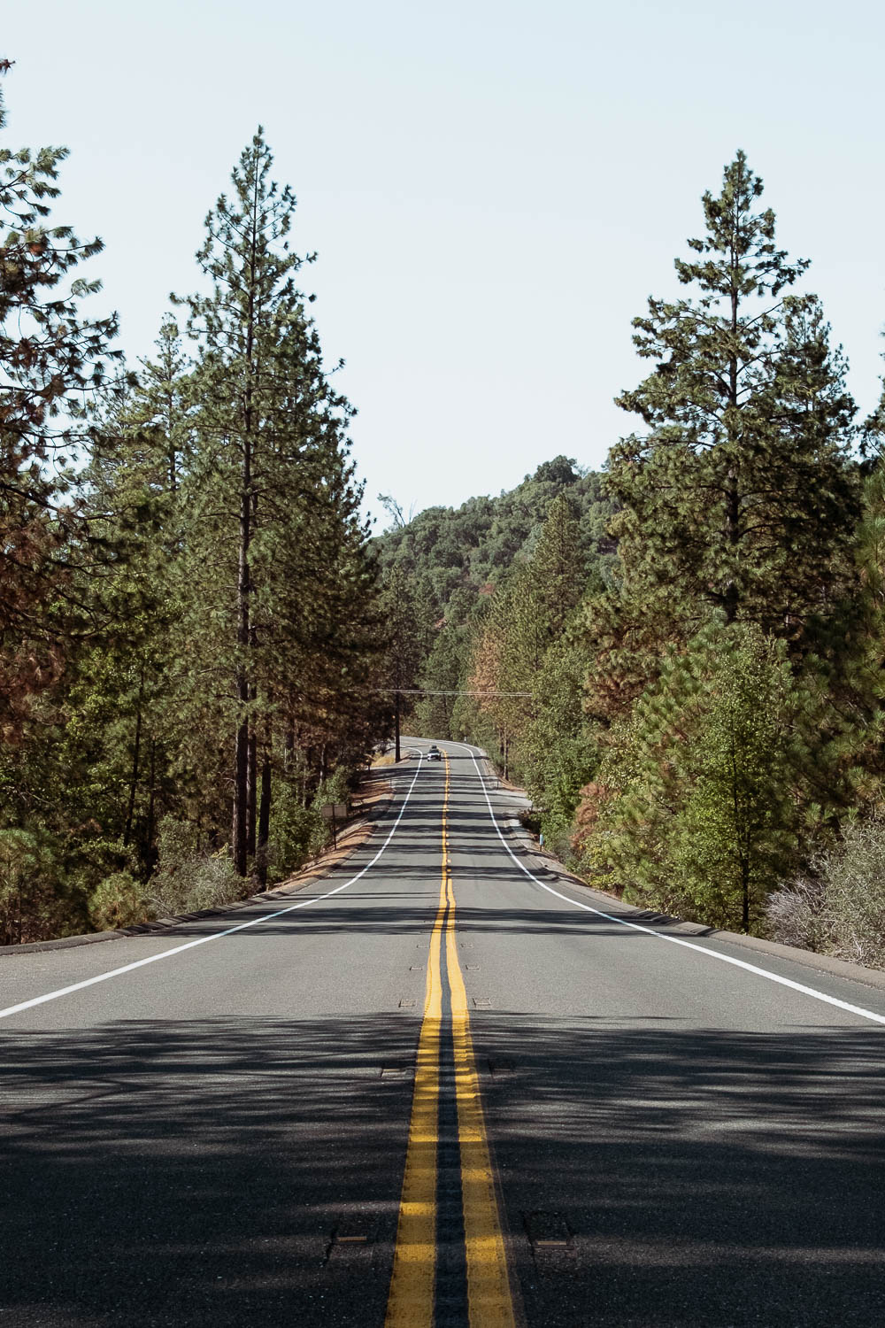 Yosemite National Park - California 2 week road trip manual - Faraway Getaway