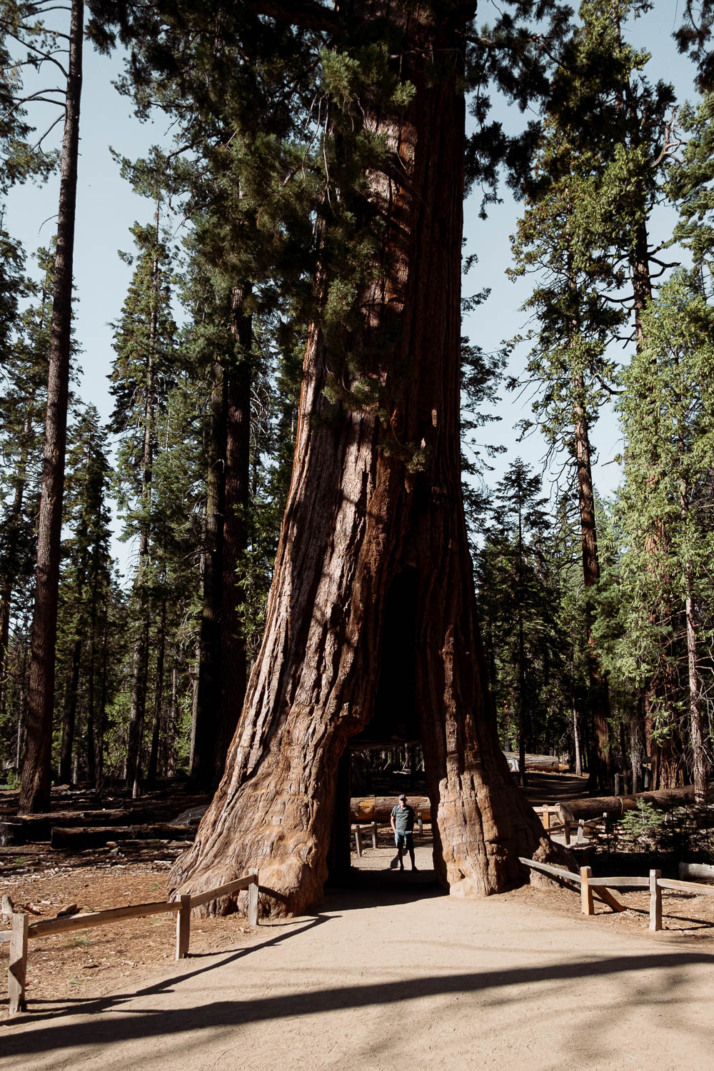 Yosemite National Park - California 2 week road trip manual - Faraway Getaway