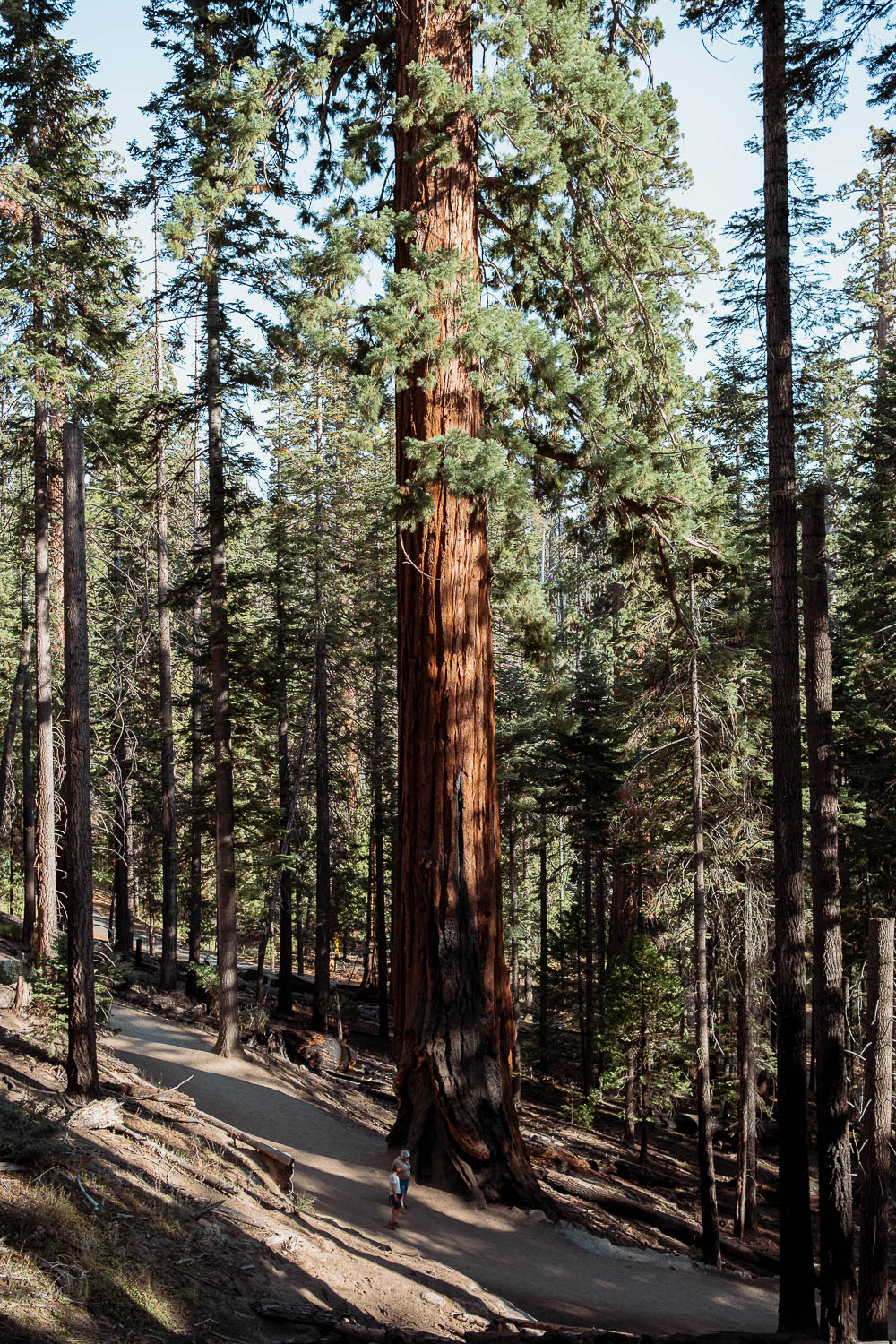 Yosemite National Park - California 2 week road trip manual - Faraway Getaway
